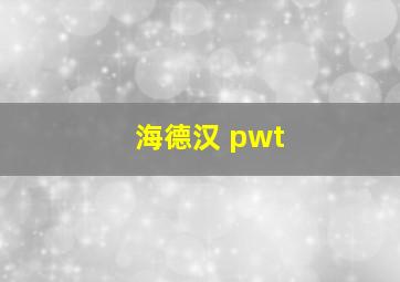 海德汉 pwt